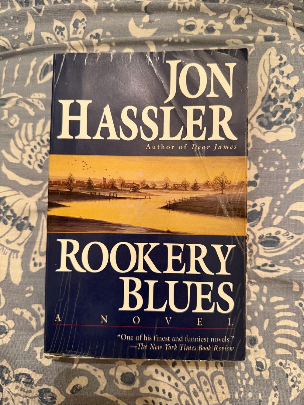 Rookery Blues by Jon Hassler Book
